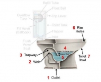 Mục sở thị cấu tạo bồn cầu 2 khối COTTO