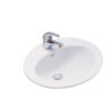 Chậu rửa đặt bàn C029