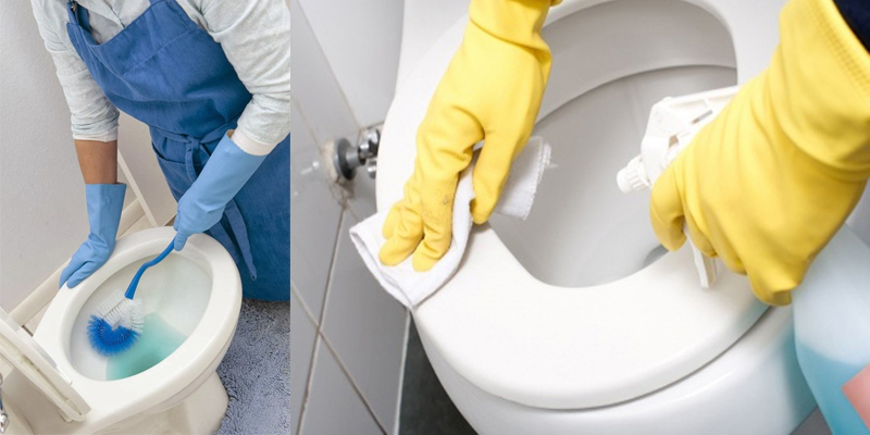 Thực hiện cọ rửa, lau chùi bồn cầu Cotto Thực hiện cọ rửa, lau chùi bồn cầu Cotto