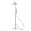 Sen tắm cây COTTO CT2149WS