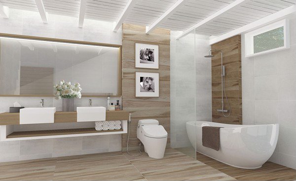thiết bị vệ sinh cotto