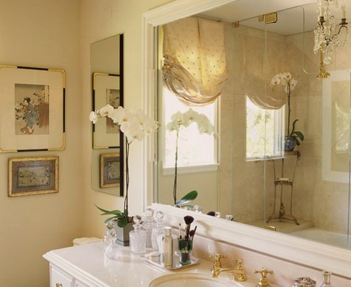 nen-trong-cay-gi-trong-nha-ve-sinh-5 Hoa lan