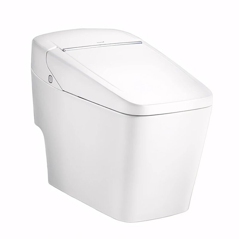 Ảnh Bồn cầu điện tử Cotto C10217 1