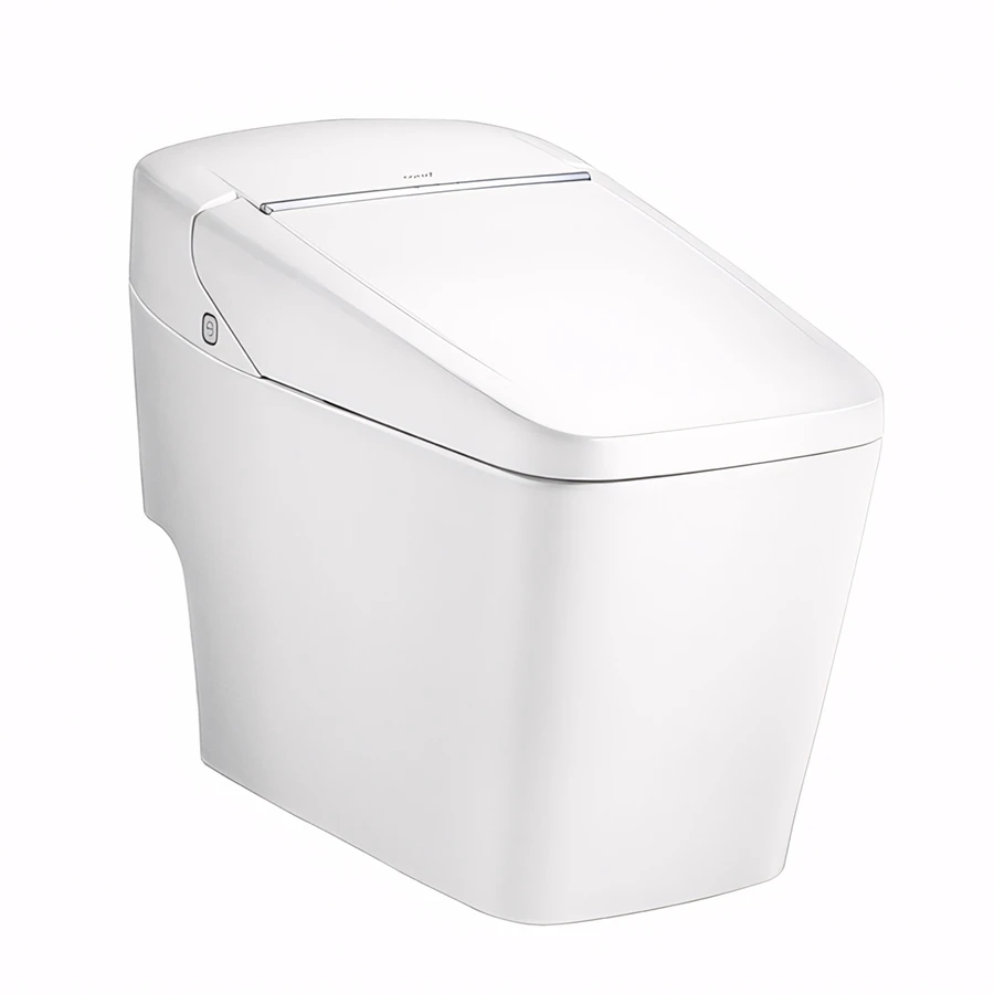 Ảnh Bồn cầu điện tử Cotto C10217 1