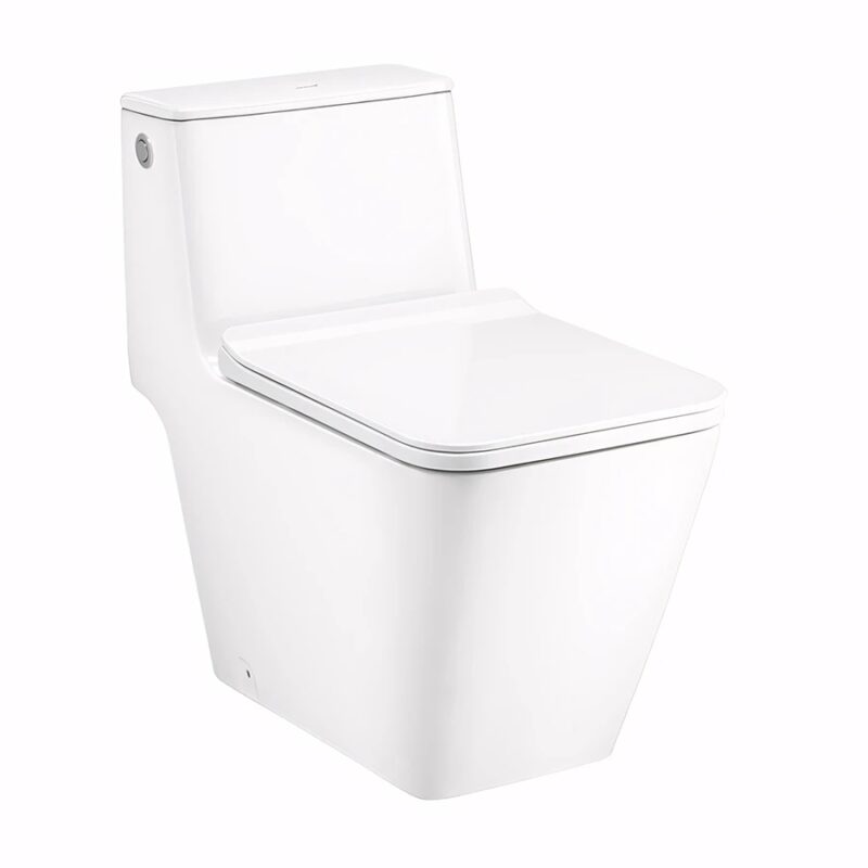 Ảnh Bồn cầu xả không chạm Cotto C103257 1