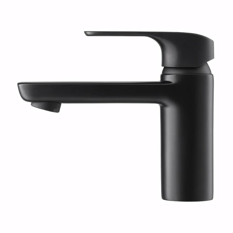 Ảnh Vòi chậu 1 đường lạnh Cotto CT1142A#BL 1